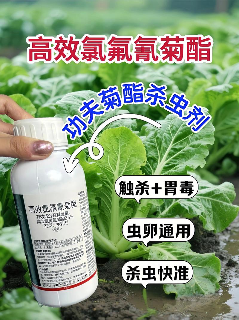 昆明代生中心:农药对供卵代生妈妈的危害